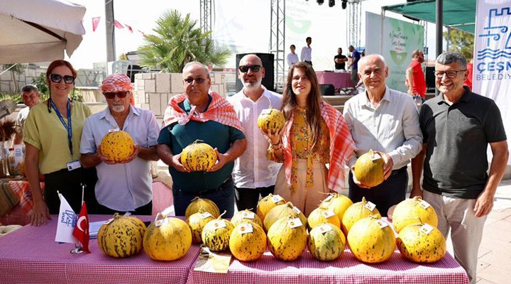 9. Ovacık Tarım ve Sakız Koyunu Festivali Coşkusu