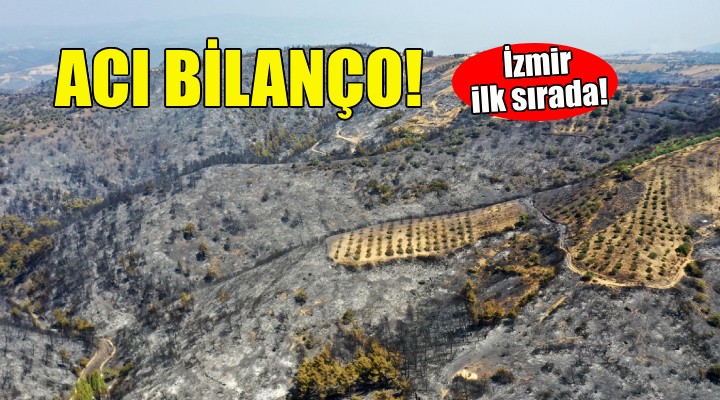 Acı bilanço... İzmir ilk sırada!