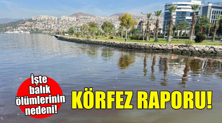 Bilim insanlarından İzmir Körfezi raporu!