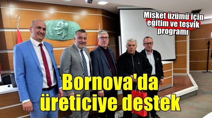 Bornova Misket Üzümü için üreticiye destek