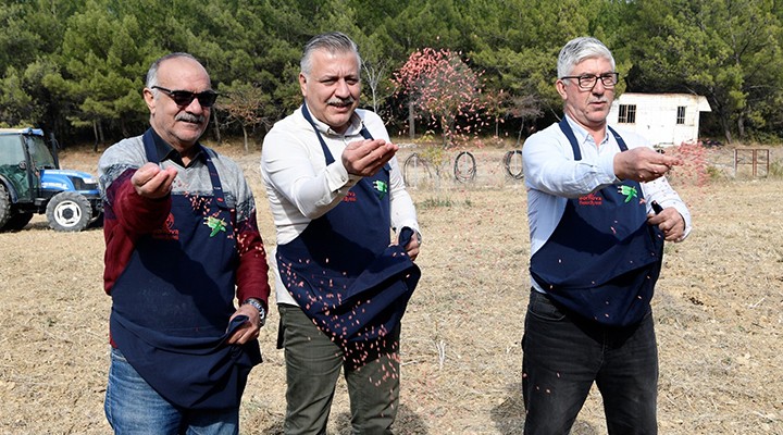 Bornova da üreticiye buğday ekimi desteği...