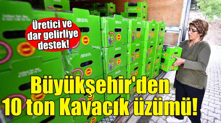 Büyükşehir den 10 ton Kavacık üzümü!