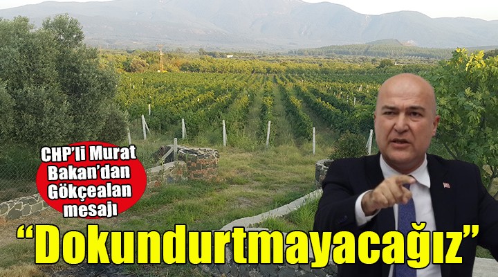 CHP li Bakan: Gökçealan a dokundurtmayacağız!