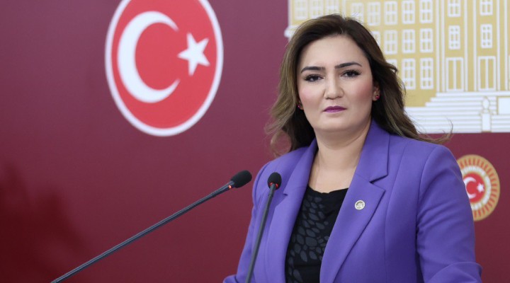 CHP li Kılıç, utanç raporunu açıkladı: 9 ayda 35 çocuk öldürüldü!