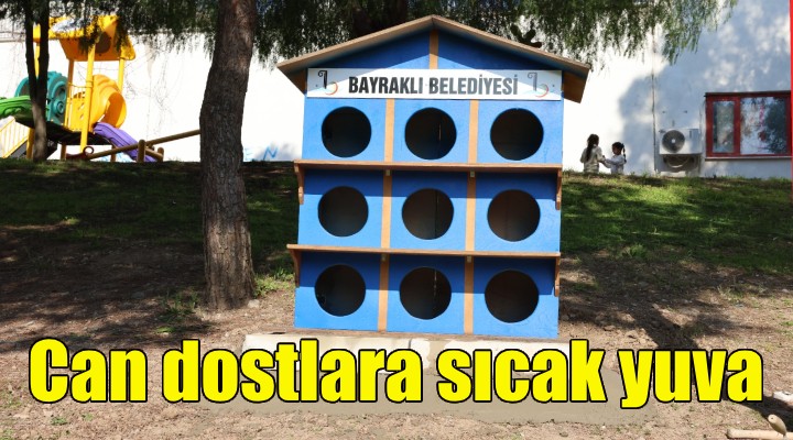 Can dostlara sıcak yuva