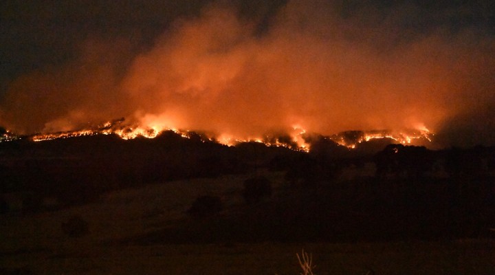 Çanakkale deki yangında 575 hektar alan kül oldu!