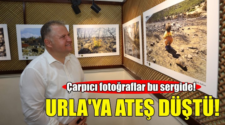 Çarpıcı sergi: Urla ya Ateş Düştü!