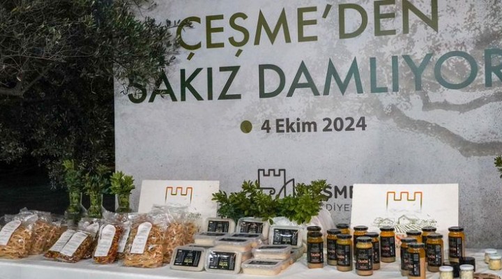 Çeşme de hedef 100 bin sakız ağacı!