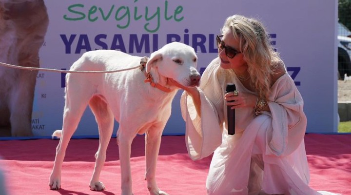 Çeşmeliler Pati Park ta can dostlarla buluştu!