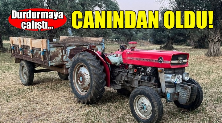 Durdurmaya çalıştı, canından oldu!