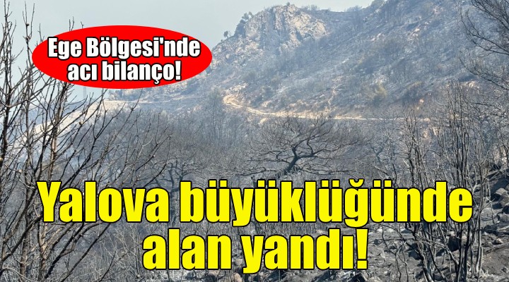 Ege Bölgesi nde Yalova büyüklüğünde alan yandı!