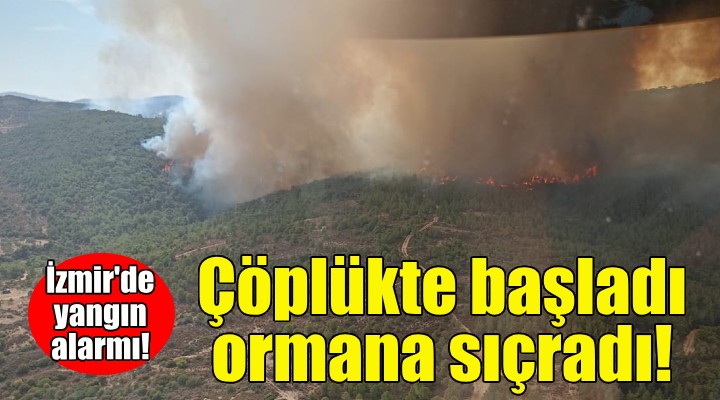 Foça da çöplükte başlayan yangın ormana sıçradı!