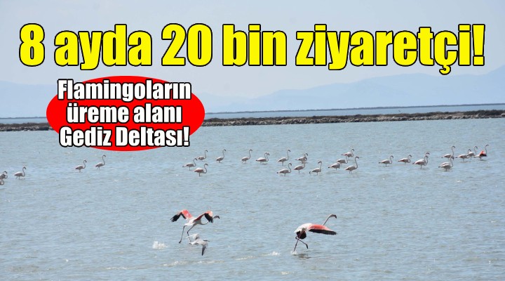 Gediz Deltası na 8 ayda 20 bin ziyaretçi!