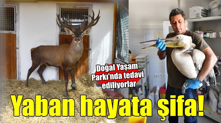 İzmir Doğal Yaşam Parkı şifa dağıtıyor