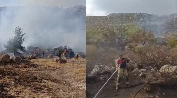 İzmir İtfaiyesi nden 2 bölgedeki yangına hızlı müdahale!