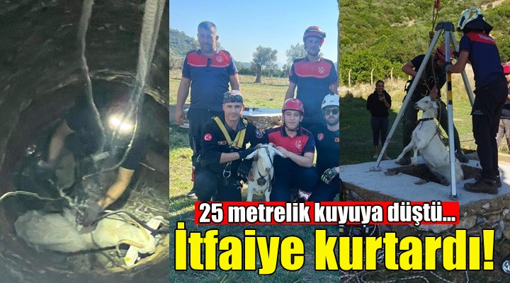 İzmir İtfaiyesi’nden keçi kurtarma operasyonu!