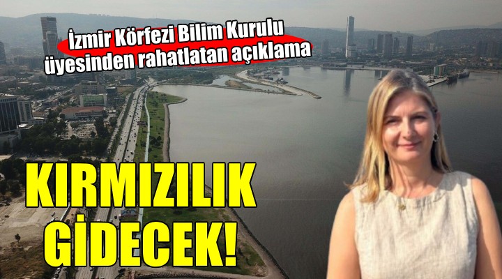 İzmir Körfezi ile ilgili rahatlatan açıklama...