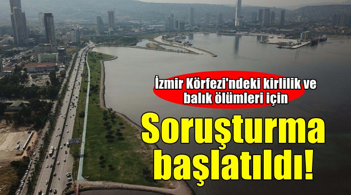 İzmir Körfezi ndeki kirlilik ve balık ölümlerine soruşturma