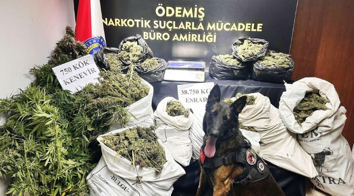 İzmir de 38 kilo 750 gram esrar ele geçirildi