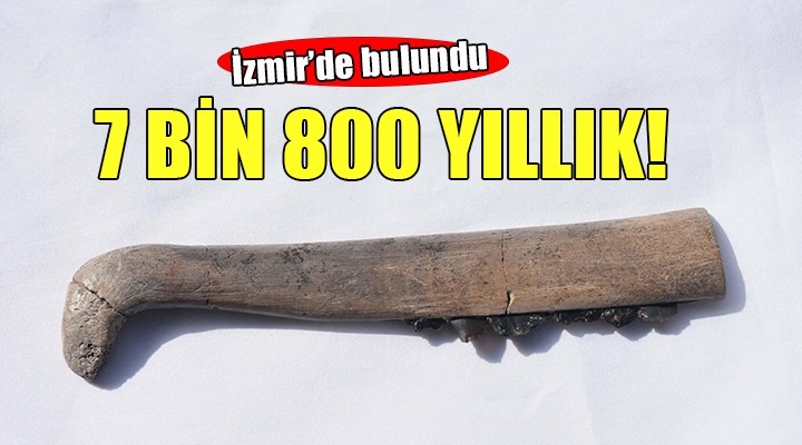 İzmir de 7 bin 800 yıllık orak bulundu!