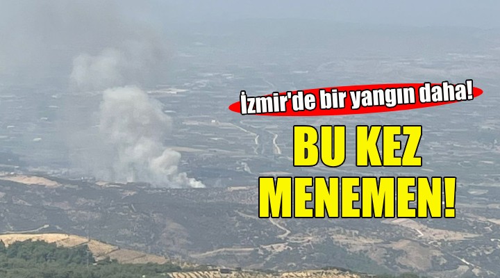 İzmir de bir yangın daha... Bu kez Menemen!