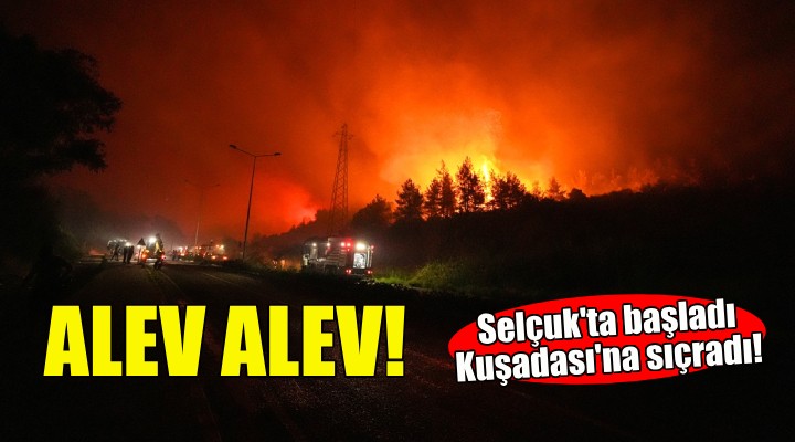 İzmir de bir yangın daha... Bu kez Selçuk!