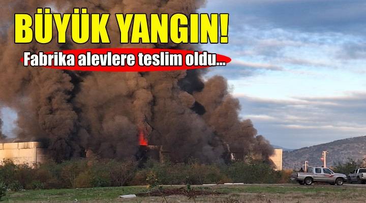 İzmir de büyük yangın... Fabrika alevlere teslim oldu!