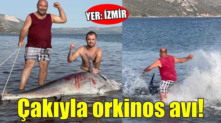 İzmir de çakı ve zıpkınla dev orkinos avı!