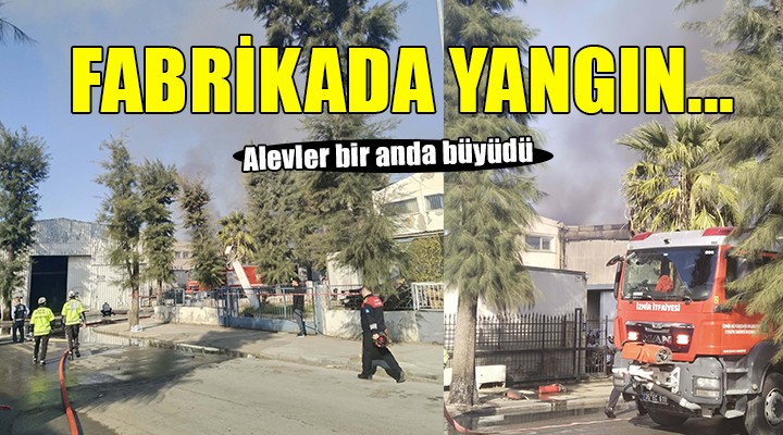 İzmir de kimya fabrikasında yangın...