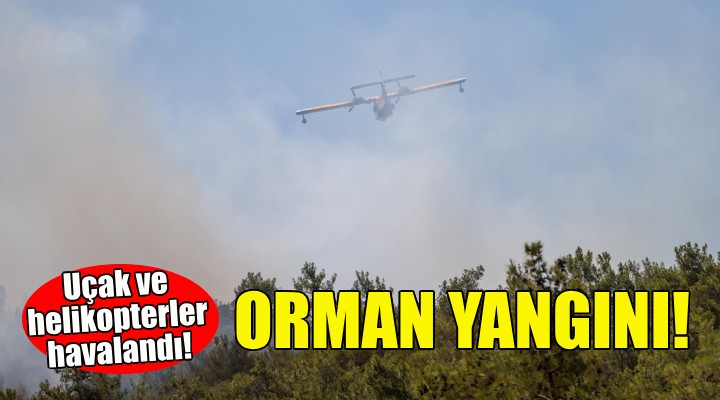 İzmir de orman yangını... Alevler Menderes ten yükseldi!