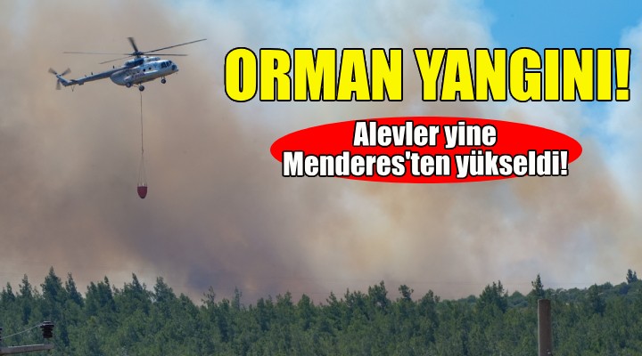 İzmir de orman yangını!