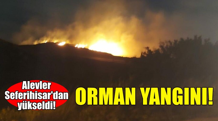 İzmir de orman yangını... Alevler Seferihisar dan yükseldi!