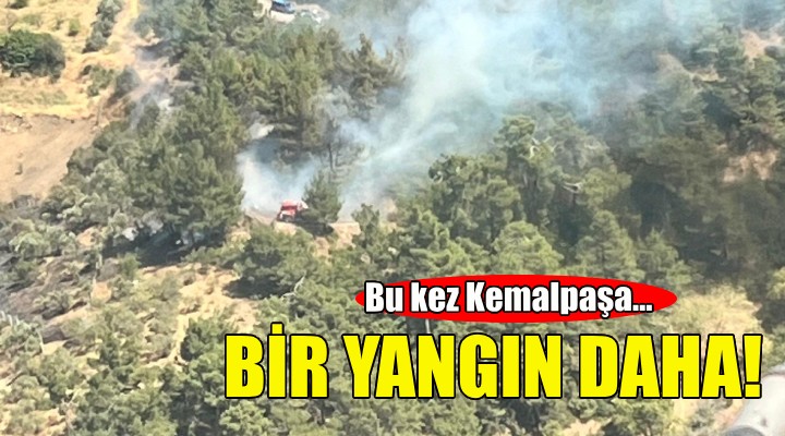 İzmir de orman yangını... Bu kez Kemalpaşa!