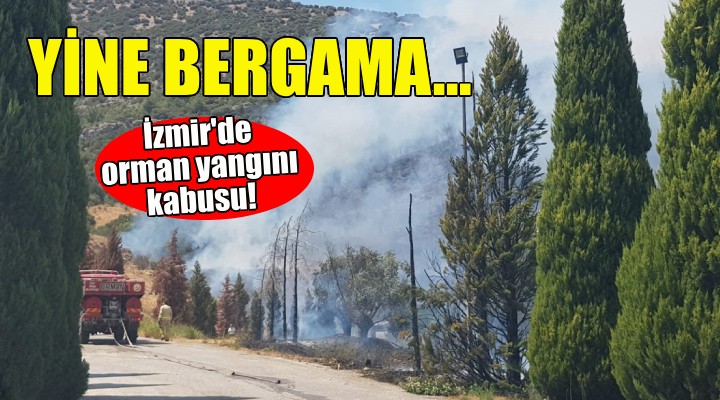 İzmir de orman yangını kabusu... Yine Bergama!