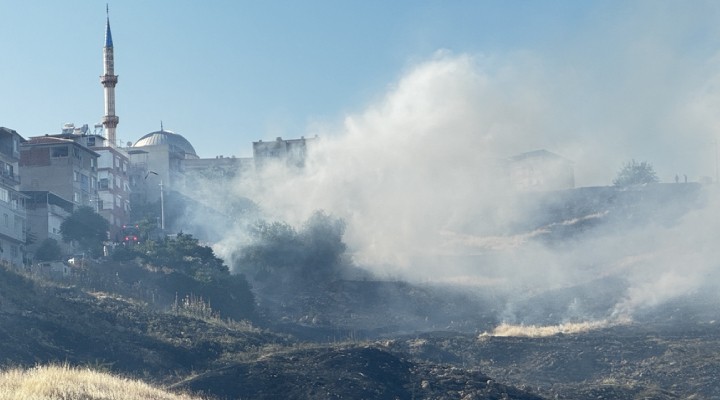 İzmir de otluk alanda yangın
