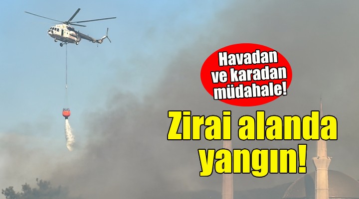İzmir de zirai alanda yangın!