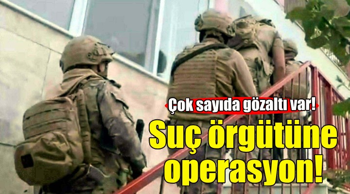 İzmir merkezli suç örgütü operasyonu!