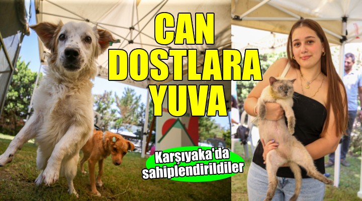 Karşıyaka’da can dostlar yeni yuvalarına kavuştu