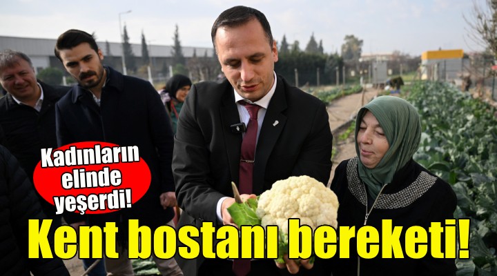 Kent Bostanı bereketi... Kadınların elinde yeşerdi!