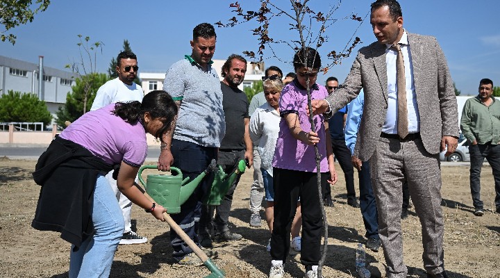 Laka’da yeni bir hayat yeşeriyor