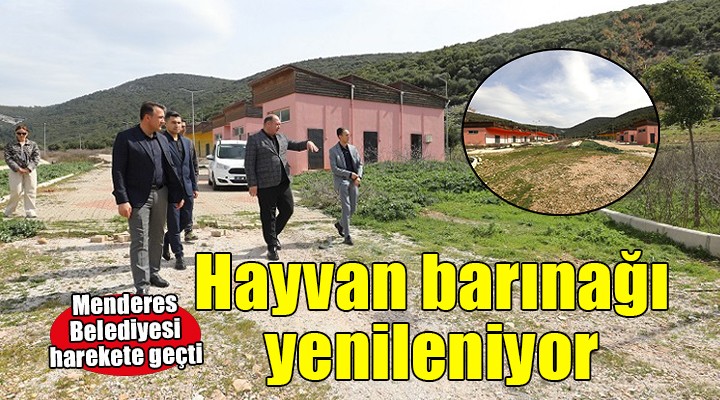 Menderes te atıl haldeki hayvan barınağı yenileniyor