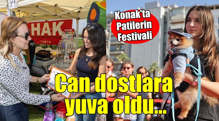 Patilerin Festivali can dostlara yuva oldu...