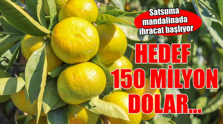 Satsuma mandalinada hedef 150 milyon dolar