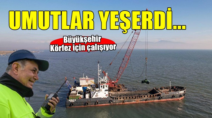 Tarama çalışmaları Körfez için umutları yeşertti