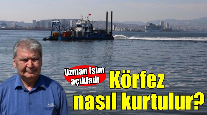 Uzman isim açıkladı... İzmir Körfezi nasıl kurtulacak?