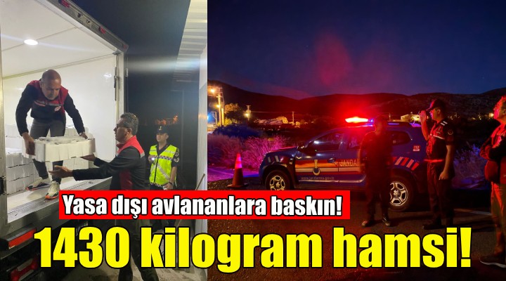 Yasa dışı avlananlara baskın... 1430 kilogram hamsiye el konuldu!