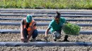 Adabahçe bu kış da sofralara lezzet ve bereket katacak!