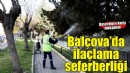 Balçova’da ilaçlama seferberliği