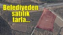 Belediyeden satılık tarla!