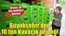 Büyükşehir'den 10 ton Kavacık üzümü!